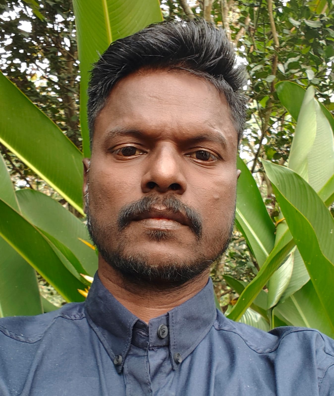 Shibi Joseph