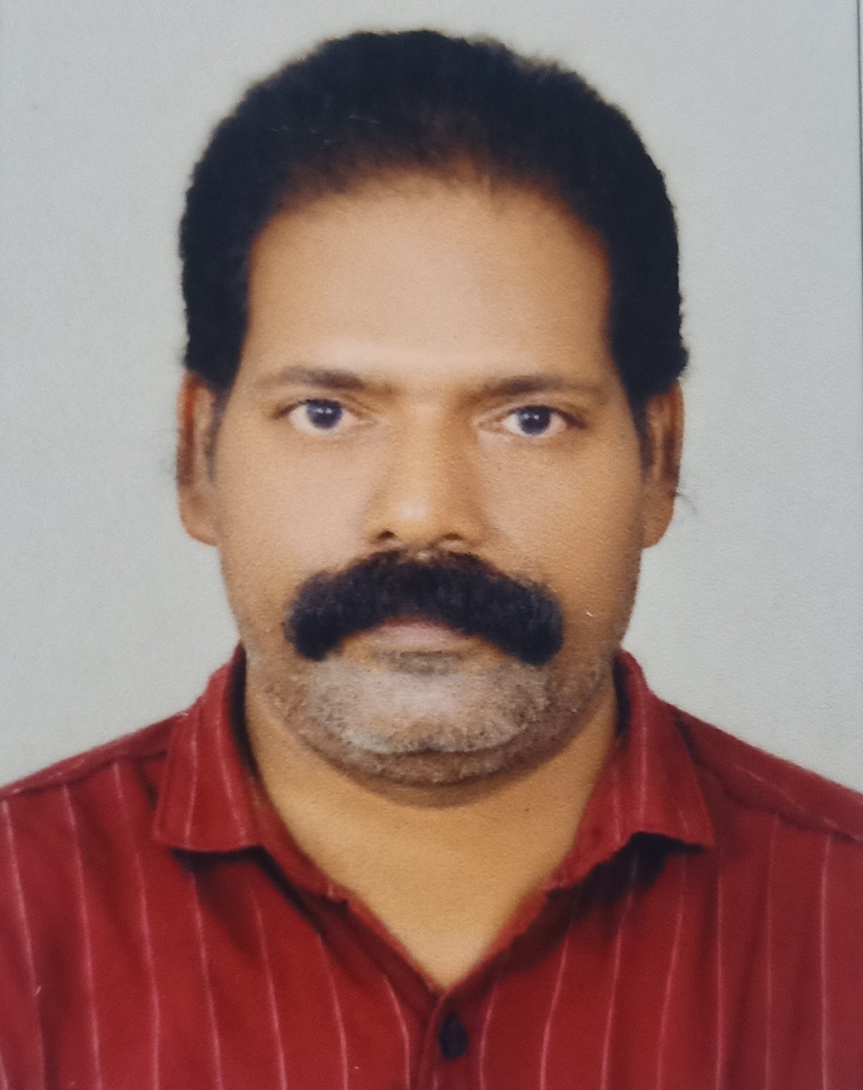 Anil V K